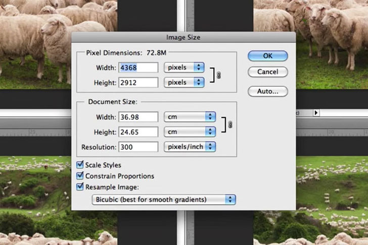 How To Resize Images In Photoshop Without Losing Quality